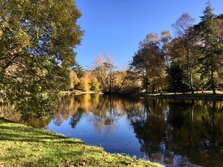 autumn trees reflected in lake