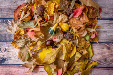 Creative layout made of autumn leaves.Flat lay.Nature concept.