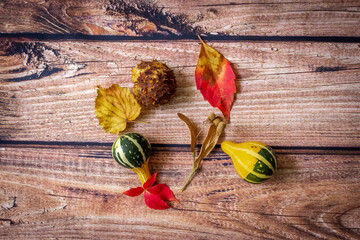Autumn or fall scene background with leaves, pumpkins and chesnut.Minimal nature seasonal concept.Flat lay composition.