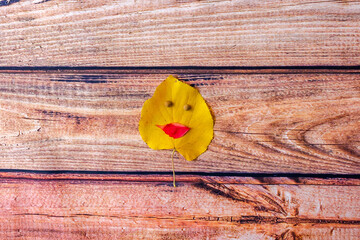Yellow leaf with eyes and lips.Funny holiday or seasonal flat lay concept.