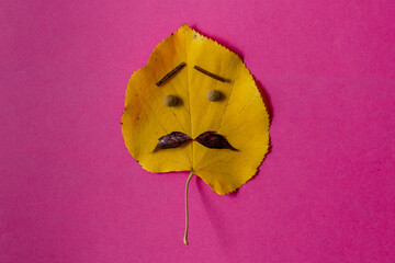 Halloween yellow leaf with eyes and mustache on pink background.Funny holiday or seasonal flat lay concept.
