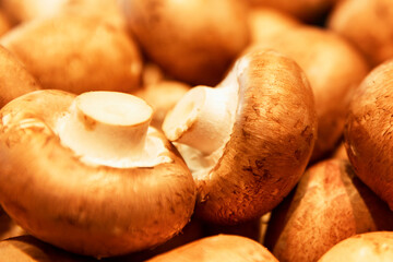 A lot of royal champignons on the counter in the store. Close-up.