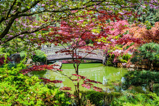 Colorful park in Japanese style. Manito Park and Botanical Gardens, Spokane, Washington, United States