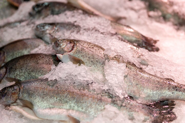 Fresh fish on ice on the counter in the store. Healthy eating.