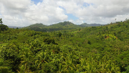 Aerial View of Rainforest in Mindanao island, Philippines. Jungle in Asia.
