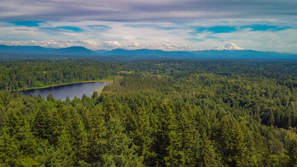 Small forest lake, view from above. View from Echo Peak Loop Trail, Renton Washington, USA