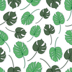 Floral seamless pattern with tropical leaf palm. Seamless pattern of leaves monstera. summer seamless pattern vector floral background