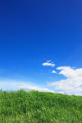 草原と青空