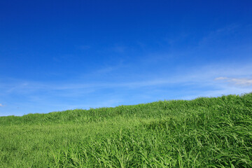 草原と青空