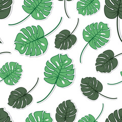 Floral seamless pattern with tropical leaf palm. Seamless pattern of leaves monstera. summer seamless pattern vector floral background