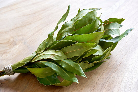 Dry green bay leaves tied with rope on a wooden background. Also named Laurel or Laurus nobilis.   