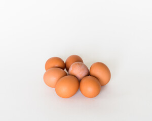 Brown eggs in the white background 