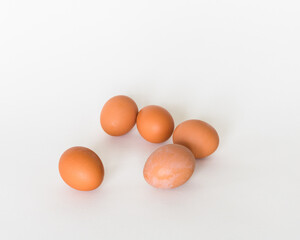 Brown eggs in the white background 