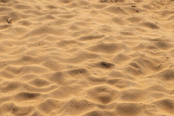 ripples in the sand
