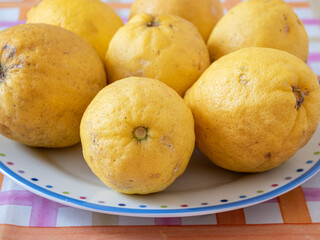 Close up of organic lemons in a colorful dish, on top of a table. Useful as a floral background.
