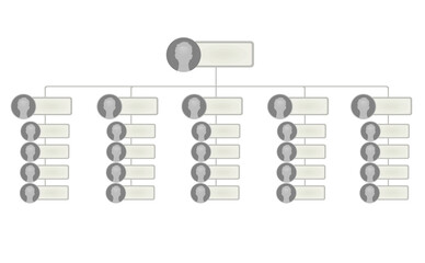 Blank hierarchy company structure. vector illustration