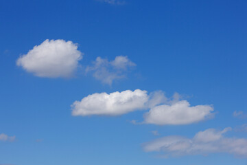 Fototapeta premium 青空と雲