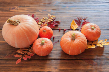 pumpkins of different sizes on a wooden table. multicolored leaves of trees. autumn view