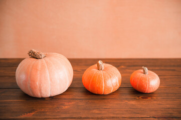 pumpkins of different sizes on a wooden table. autumn view