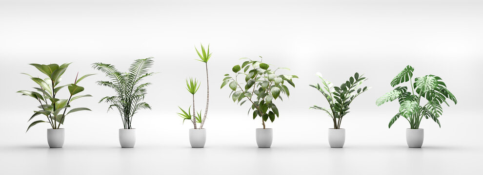 Set Of Tropical Green Plants In Pots. Home Decoration Assets