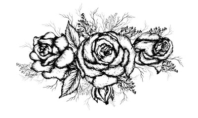 modern,  bouquet of roses, herbs. decorative element, hand-drawn composition in vintage style monochrome flower, isolated on a white background. for , greeting cards, invitations, your ideas. vector .