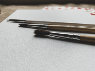 Three brushes on white canvas 