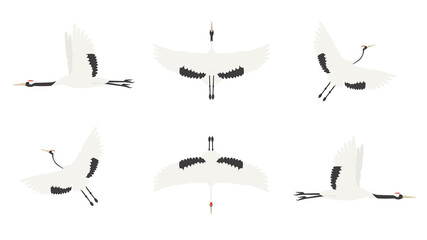 鶴　タンチョウ　飛ぶ　向きバリエーション