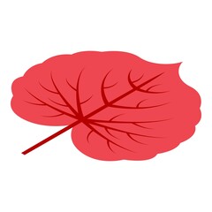 Park autumn leaf icon. Isometric of park autumn leaf vector icon for web design isolated on white background