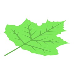 Tree foliage icon. Isometric of tree foliage vector icon for web design isolated on white background