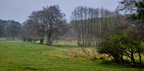 Nebelverhangene Auenlandschaft am westlichen Dahmeufer im herbstlichen Naturpark Dahme-Heideseen