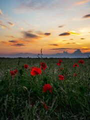 The sound of colour - Der Klang der Farbe