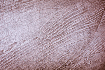 Tree Rings Reveal Climate Secrets