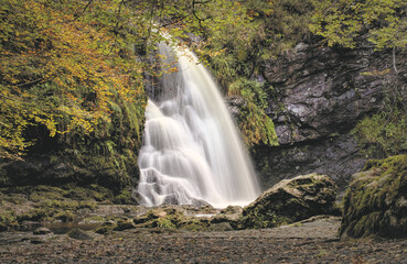 Obraz premium waterfall in the forest