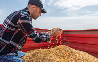 Hands of peasant holding soy beans