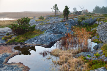Sonnenaufgang am Weißen Meer in Karelien, Russland © Oleg Znamenskiy