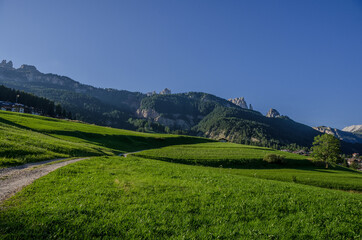 Fototapeta na wymiar Sun lit, green alpine meadows and pine woods around Vigo di Fassa village in Fassa valley, Dolomites, Trentino-Alto Adige region, South Tirol, Italy.