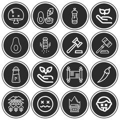 16 pack of mexico  lineal web icons set