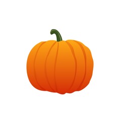 Vector illustration. Pumpkin. Small pumpkin on a white background