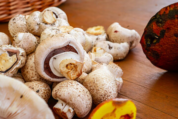 Dehydrate and Dry Mushrooms. some several fresh mushroom collected from the garden.