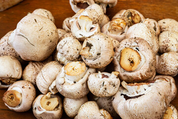 white champignons