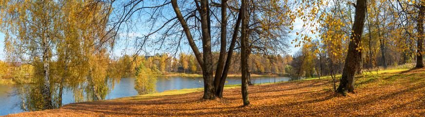Fototapeta na wymiar Sunny autumn panoramic landscape with lawn in city park and bare trees during october evening