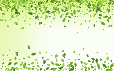 Swamp Leaves Motion Green Background Template. 