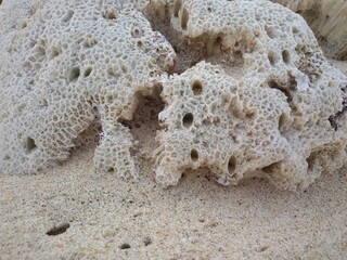 bread on the beach
