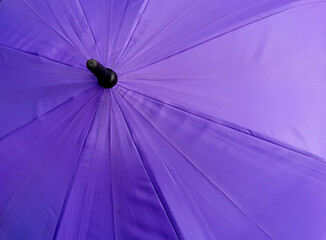 Top view of the purple umbrella 
in the rainy season, can be used as a background for text.