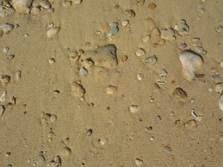footprint on sand