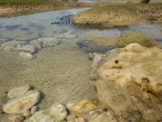stones on the beach
