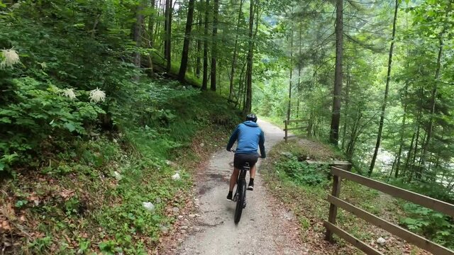 Mountain Biker MTB riding a trail through a lush forest, Austrian Alps, Ausseerland, Salzkammergut, Austria