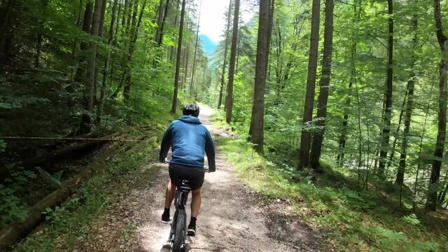 Mountain Biker MTB riding a trail through a lush forest, Austrian Alps, Ausseerland, Salzkammergut, Austria