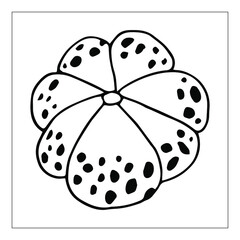 Decorative pumpkins of various shapes