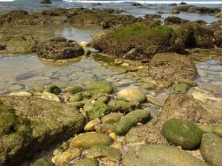 rocks and sea